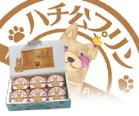 プレゼント写真