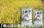 プレゼント写真