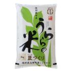 プレゼント写真