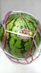 プレゼント写真