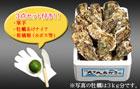 プレゼント写真