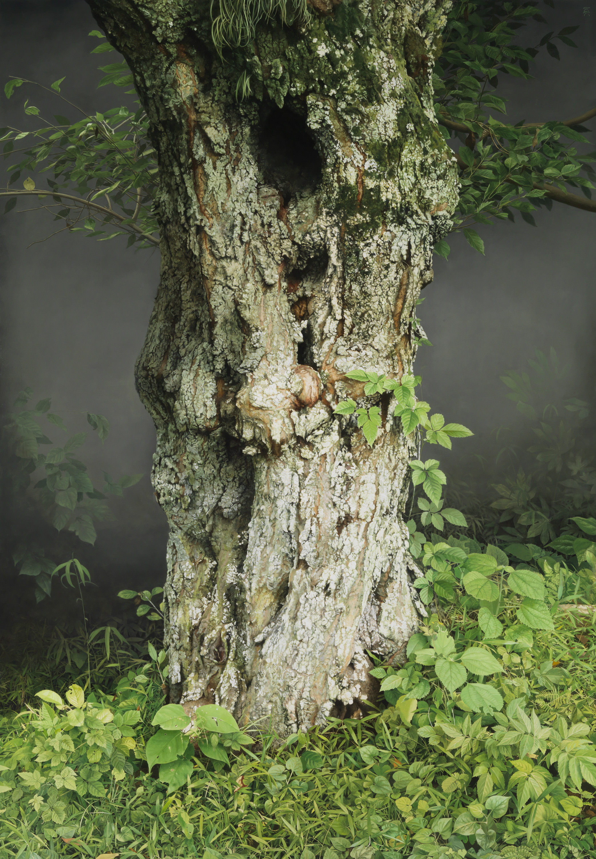 ��Ķ�̼³���ν��� �ۥ����Ѵ۽�¢�סڳ��Ž�λ��