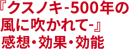 『クスノキ-500年の風に吹かれて-』感想・効果・効能 