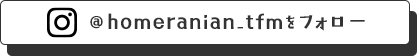 @homeranian_tfmե