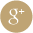 Google Plus