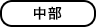 中部