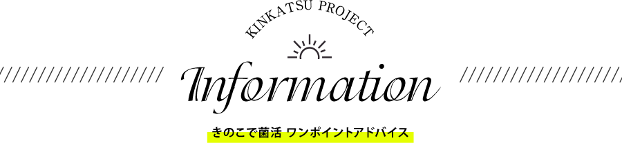 �ݳ襤��ե��᡼�����