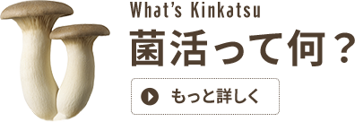 �ݳ�Ȥϡ�