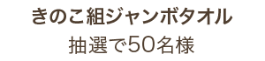 キノコ組ジャンボタオル 50名様