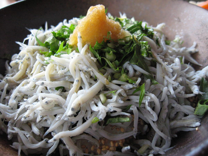 釜揚げちりめん丼 写真