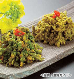 菜の花の黄金漬 写真