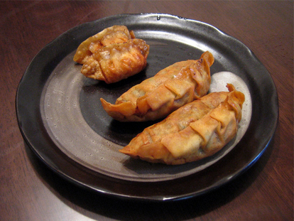 津ぎょうざ 写真