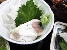 うなぎの刺身 写真