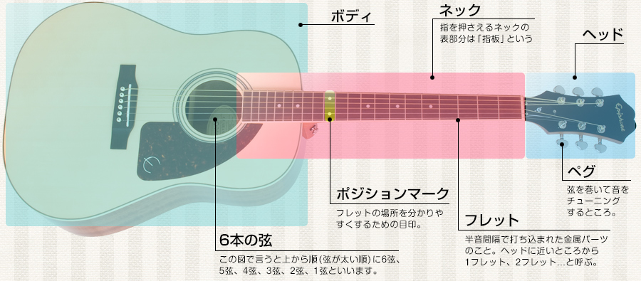 アコースティックギター図