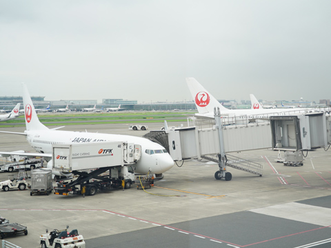 SCHOOL OF LOCK! HOPE LINE