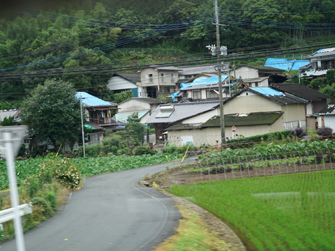 SCHOOL OF LOCK! HOPE LINE