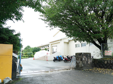 SCHOOL OF LOCK! HOPE LINE