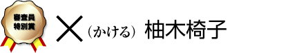 【審査員特別賞】 「×（かける」柚木椅子