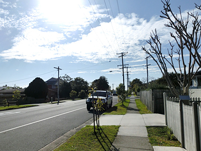 �I�[�X�g�����A�؍݋L