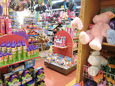 �I�[�X�g�����A�؍݋L