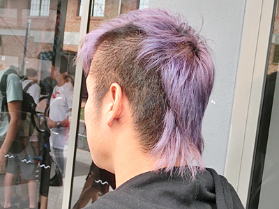 �I�[�X�g�����A�؍݋L