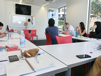 �I�[�X�g�����A�؍݋L