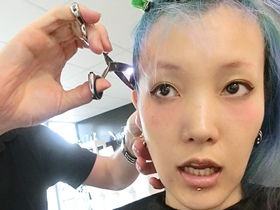 �I�[�X�g�����A�؍݋L