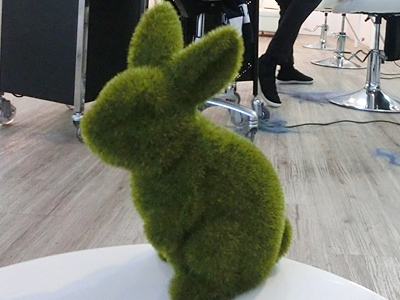 �I�[�X�g�����A�؍݋L