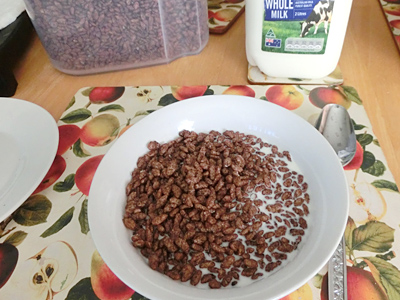 �I�[�X�g�����A�؍݋L