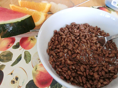 �I�[�X�g�����A�؍݋L