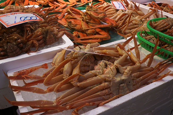 08oumi.jpg 08oumi.jpg