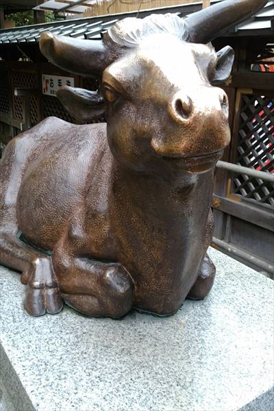 17153_r.jpg 17153_r.jpg