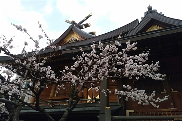 17154_r.jpg 17154_r.jpg