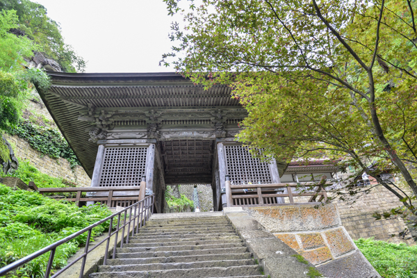 _aze4747s.jpg _aze4747s.jpg