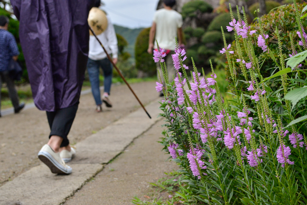 _aze4850s.jpg _aze4850s.jpg