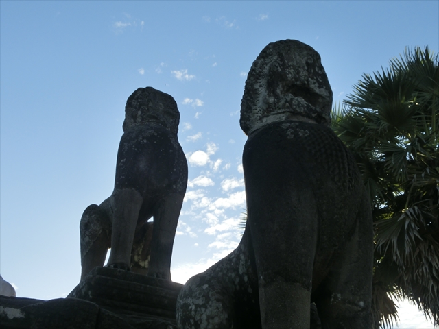 cimg4593_r.jpg