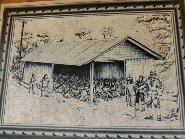 cimg4788_r.jpg cimg4788_r.jpg