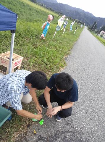 rps20140815_024856.jpg