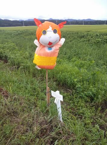 rps20140815_025330_353.jpg