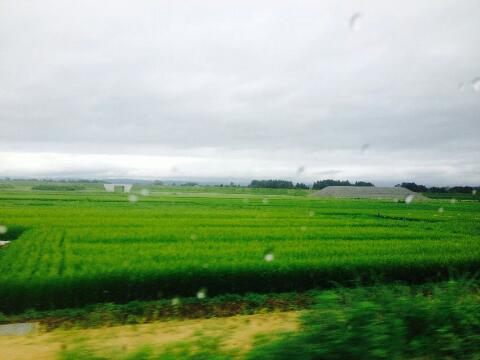 rps20140815_030108_841.jpg