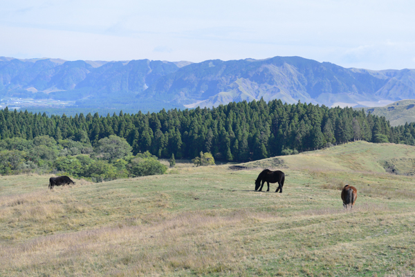 kmmt11.jpg kmmt11.jpg