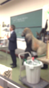 0723bmyo10.jpg 0723bmyo10.jpg