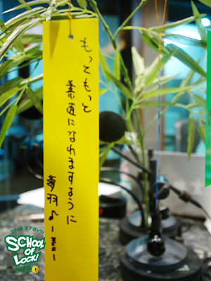 130704tannzaku_oh.jpg 130704tannzaku_oh.jpg