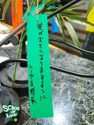 130704tannzaku_t_1.jpg 130704tannzaku_t_1.jpg