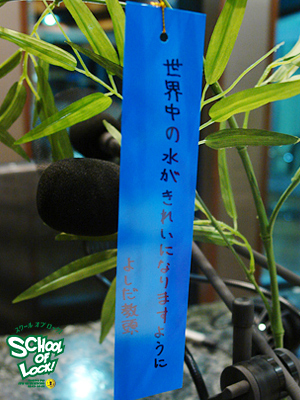 130704tannzaku_y.jpg 130704tannzaku_y.jpg
