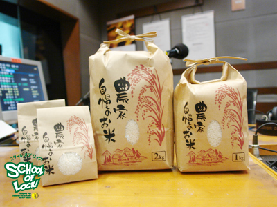 131030_sol01.jpg 131030_sol01.jpg