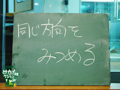 140203_sol12.jpg 140203_sol12.jpg