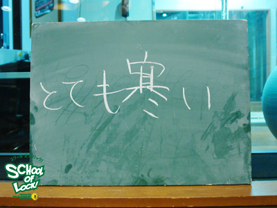 140204_sol01.jpg 140204_sol01.jpg