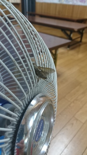 150820_sol13.jpeg 150820_sol13.jpeg