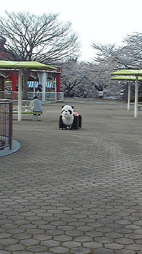 20130430_b_p04.jpg 20130430_b_p04.jpg